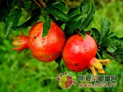 ��ˮ�������ʱ��