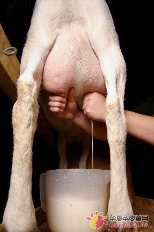 ��������ֱ��ιӤ�׶�