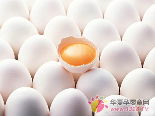 �����ĸ�ʳ�����Ӷ�����