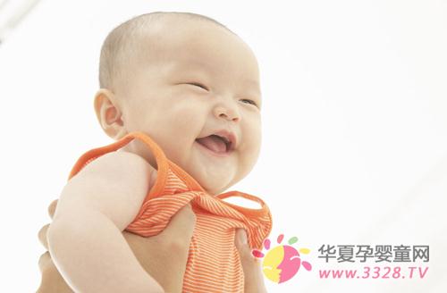 ����ר�Ҷ����Ӹ�ʳ�Ľ���