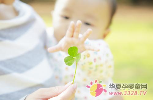 �ļ������ĸ�ʳӦ����ô����