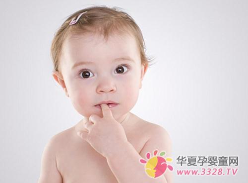 ����������ָ��˵��ʲô