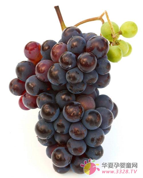 �＾���費�ܳԵ�ʳ��