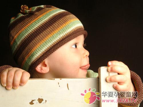 2013���Ӹ�ʳ����