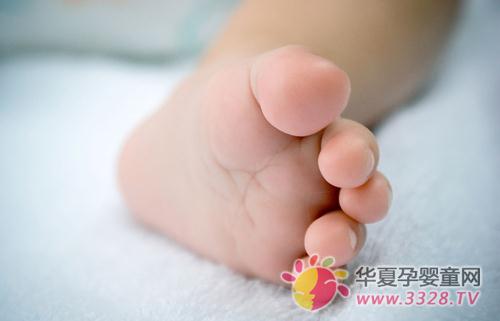 ���ĸ�ʳ��������չ