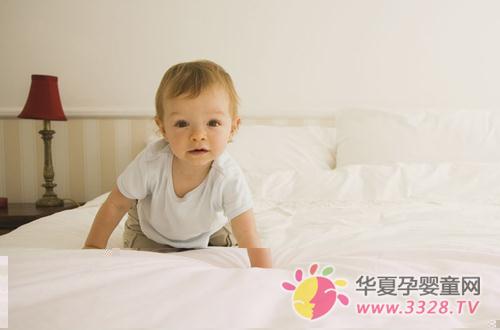 �����Σ�����������ĸ�ʳ