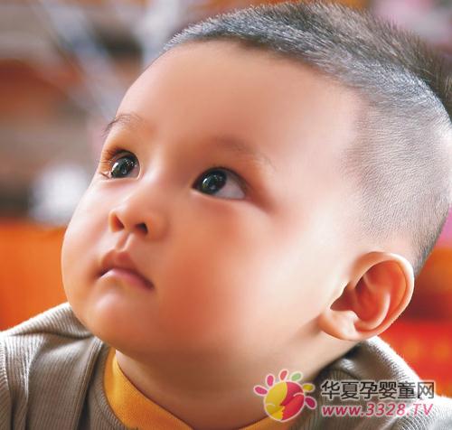 �ļ���������ȸ���׷ۺ���