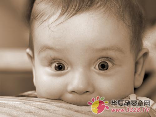 ������ʪ�������Ϻ��