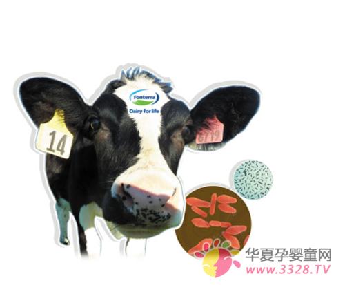 �����̷��Ƽ�