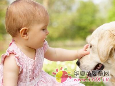 �Իƶ�������