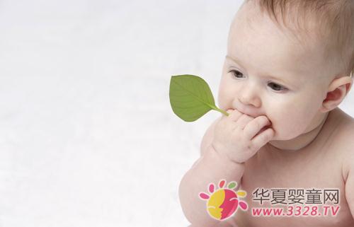 Ӥ���ɳ�����Ҫ�ּ����׶ν���