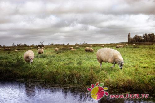 ���̷�Ʒ������Щ