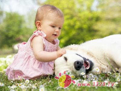 ����������ʳ