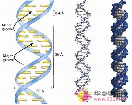 ȱ������С���Ǻ���ᵼ�²���