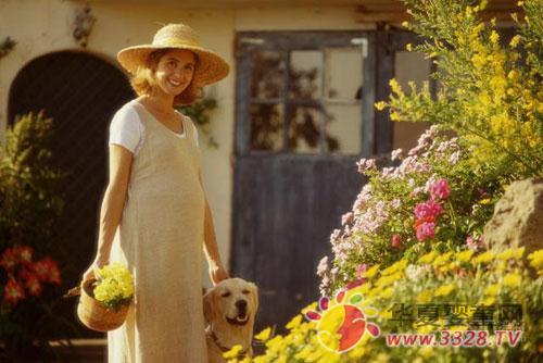 ʲô̥λ��˳��