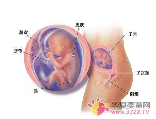 ����20�ܣ�����ر��ϻ𣬿��ԳԹ��߸���ʳƷ��