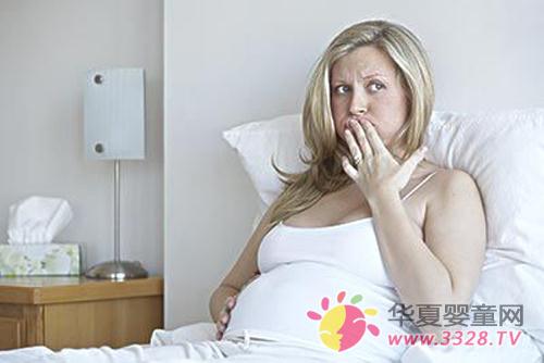 �и��̷ۻ������