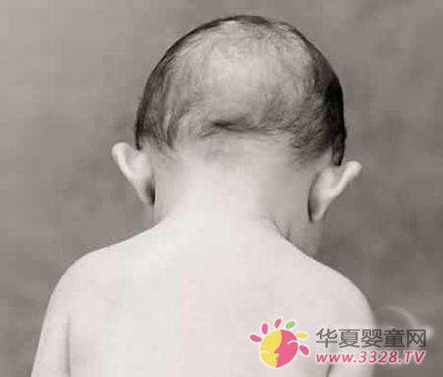 Ӥ������