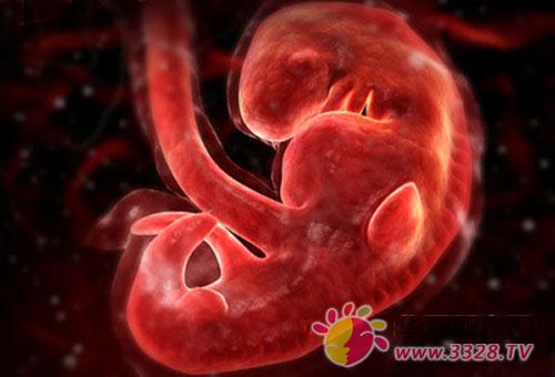 �����ỳ�ľ����к���