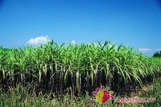 �и��Ը���ע��ʲô