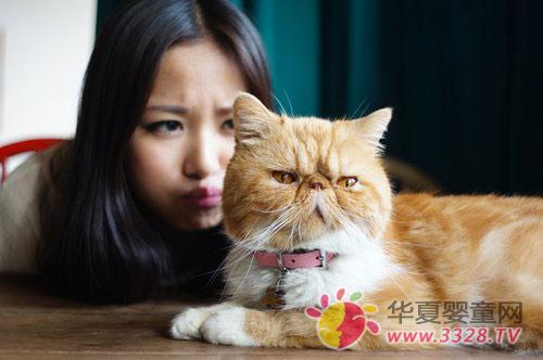 �и��������۾��ò���