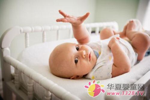 �б�������ʪ����