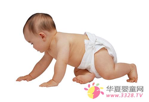 ����ֽ��������