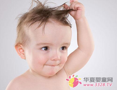 ά����AD��ѡ��ר����֧��