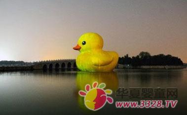 ���Ѽ��𱱾������ΪѼ�Ի���ϯ