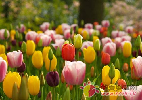 ��Щ������˺�̥��