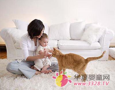 �������ӵ������ĸ��Ȱ�����