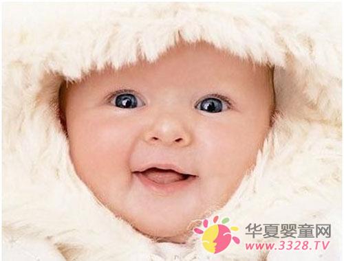 �����в����������������