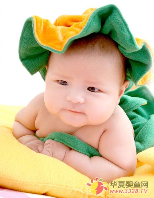 �����������Ⱦ��Ԥ����Ҫ��