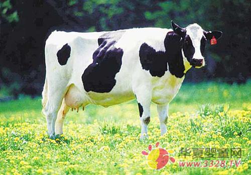 ��Դ��ȫ���̷۰�ȫ�Ĺؼ�