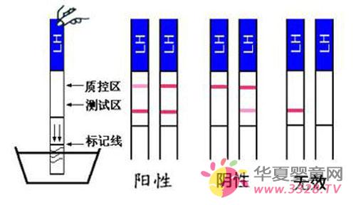 ������ֽ��ô��