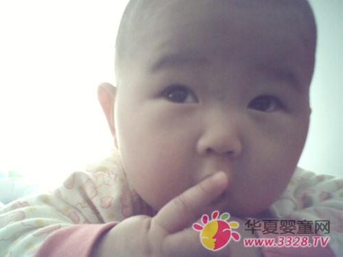 ����ɹ��Ӧ��Ե�4��ʳ��