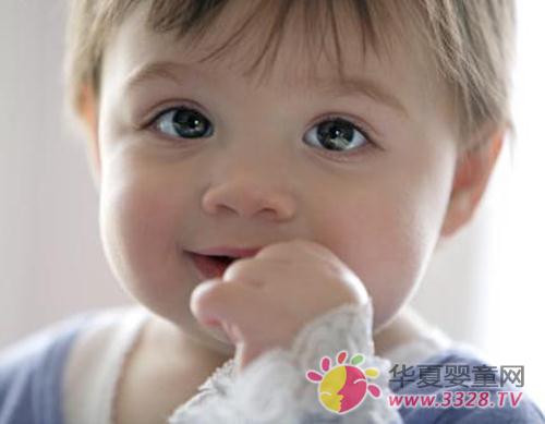 Ӥ������ٱ�����������