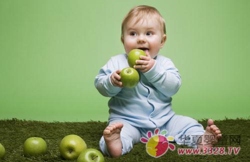 �����ɳ����׶ε���ʳ����