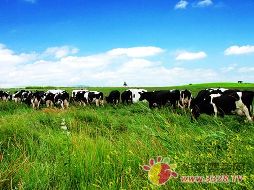 ���������Դ����