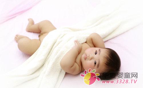 ����������ʳ������