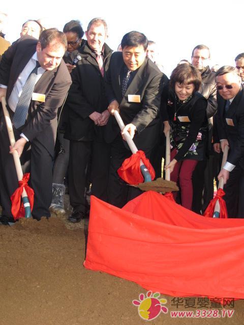 ʥԪ����������������