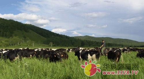 ˫���̷� ���ױ�����ԭ������Դ