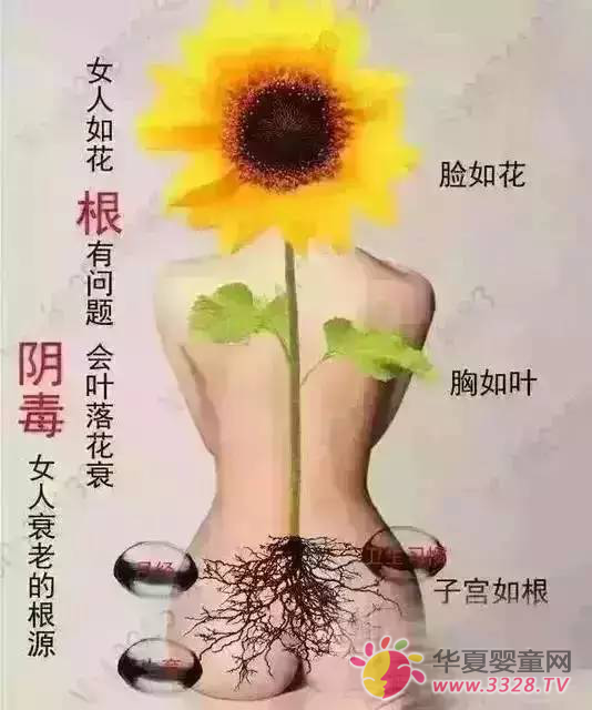 ���������ӹ��嶾��Ŀ����