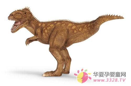 2012��������������˼�ֶ���С��ʿ