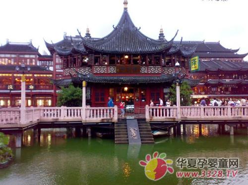 2012���Ϻ����ն�ͯ��Ϊ������ԥ԰�羰