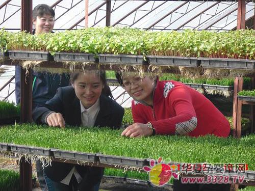 2012ȫ��������������չ���������轫�ط�������