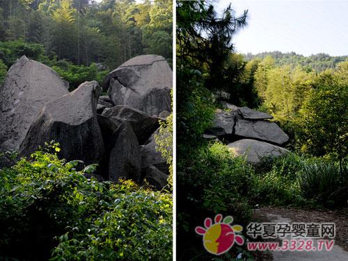 2013��NMBE�ϲ�ĸӤչΪ������Ϫϼ�羰��