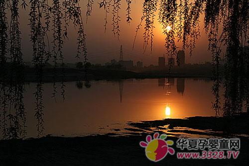 ����2013�����չ����ȥ��ӿ�����