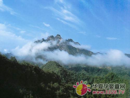 2013������Ӥͯչ��Ϊ�����ܰ���ɽ�羰��