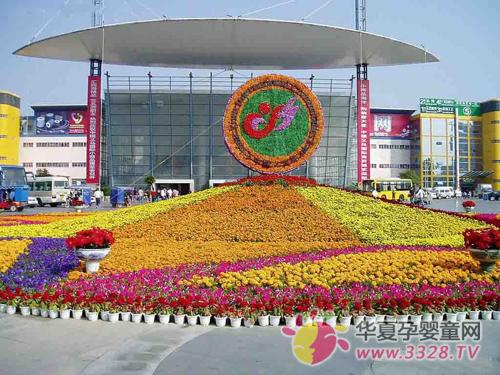 2013����Ӥͯ��ƷչΪ�����ܹ�����á�